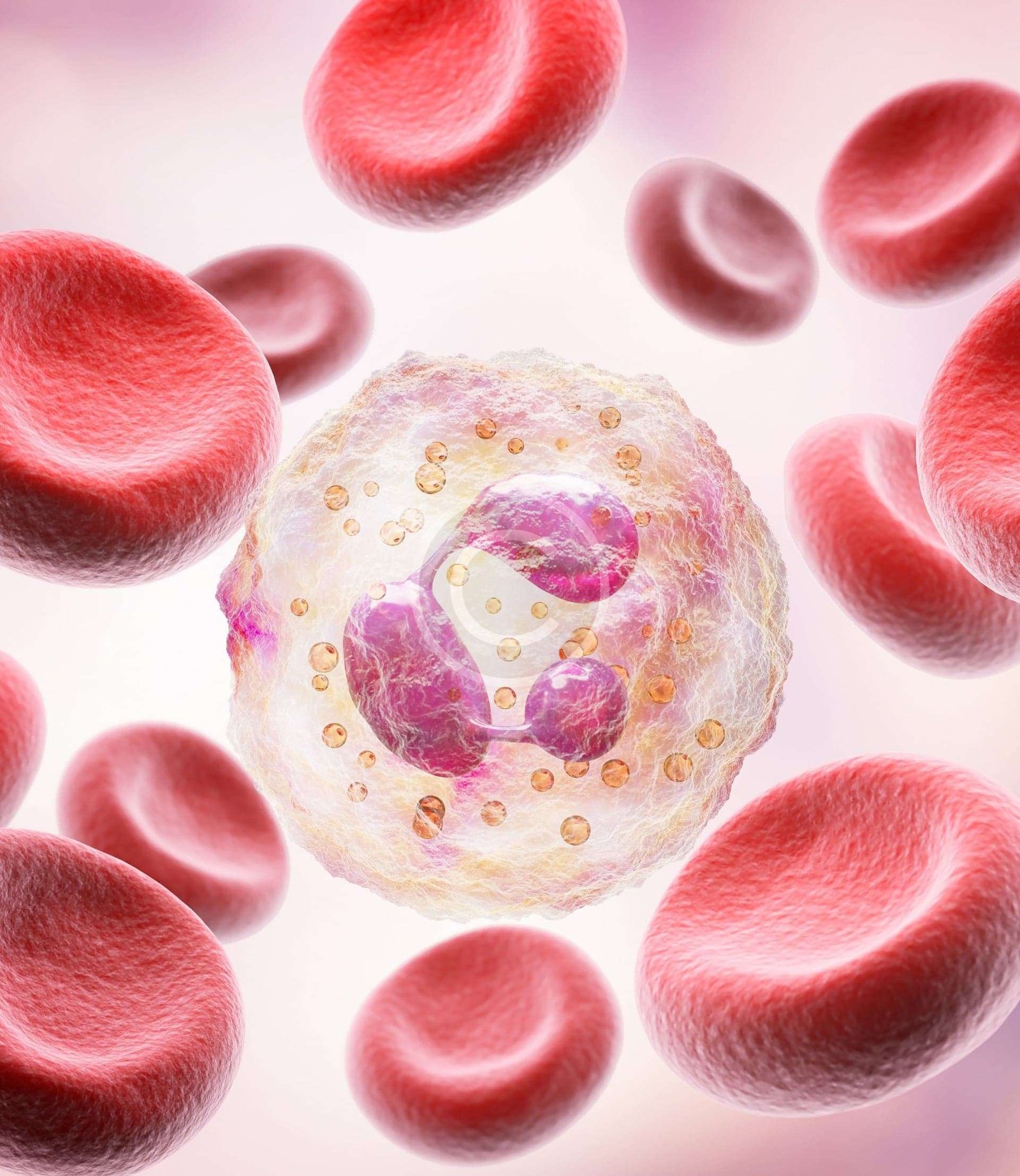 Kök Hücre Tedavileri